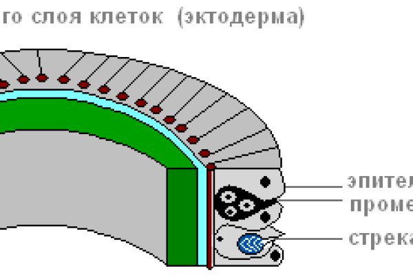 Кракен даркнет что известно