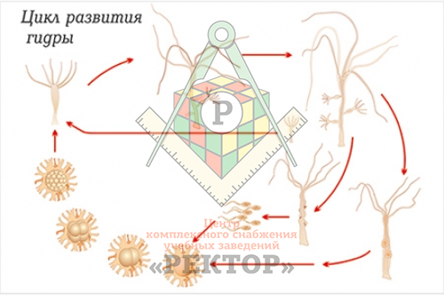 Кракен сайт работает