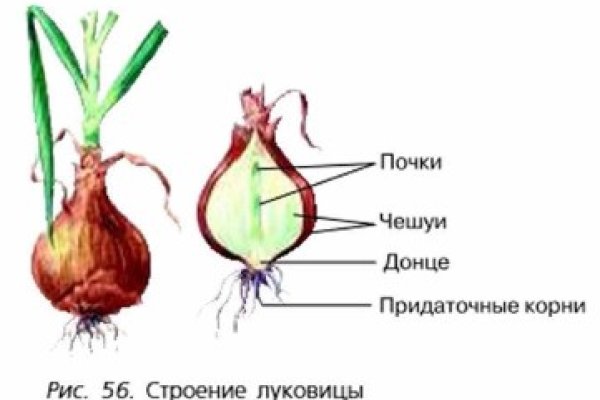 Кракен действующая ссылка